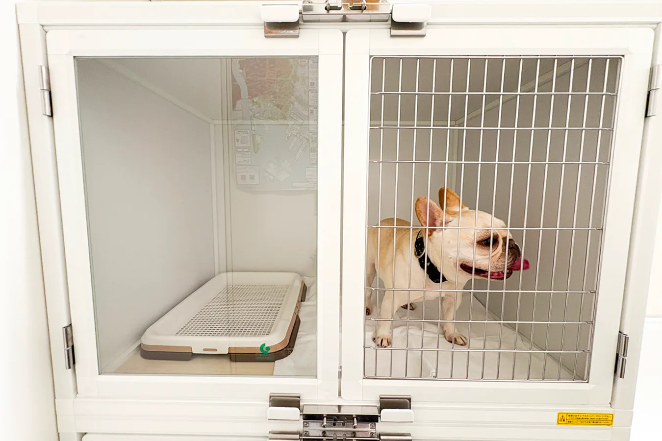 中型犬参考：小さめフレブル（7キロ）利用時